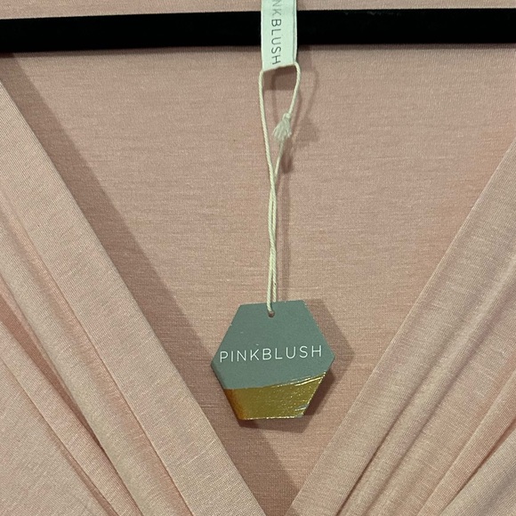 NWT. PinkBlush. Pink Maxi dress. 1x. - Picture 2 of 5
